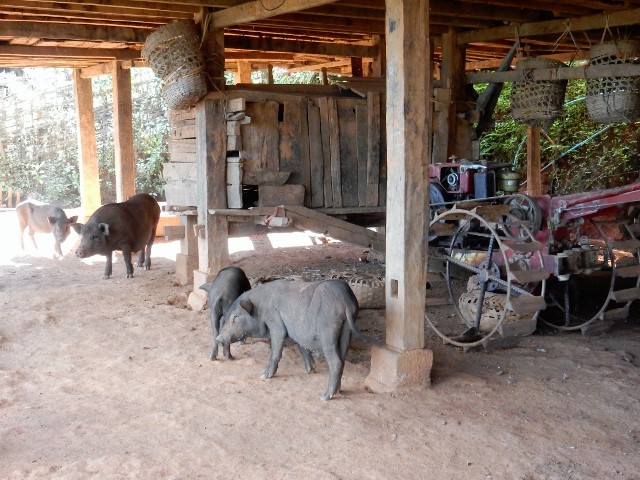 Living areas above, livestock and farm equipment below.