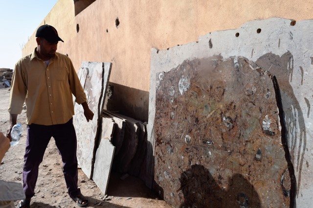 Fossilized marble and rock is found throughout the area.