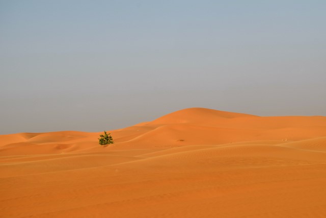 The sand dunes of Erg Chebbi.