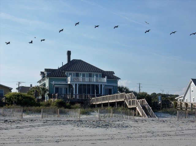 Folly Beach