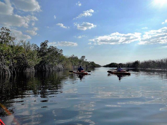 kayak the Everglades