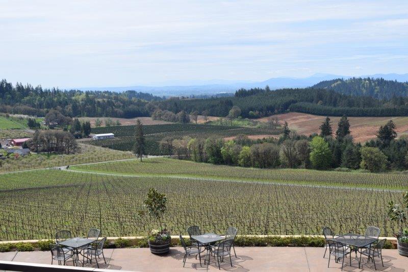 Willamette Valley Vineyards