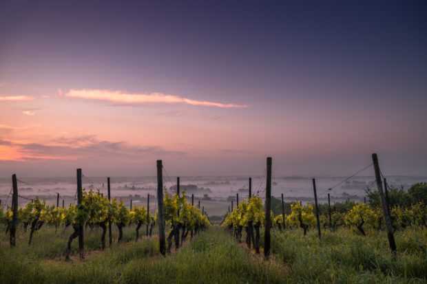napa valley wineries