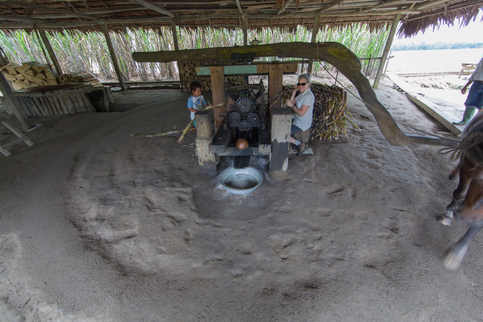 rum distillery in the Amazon rainforest