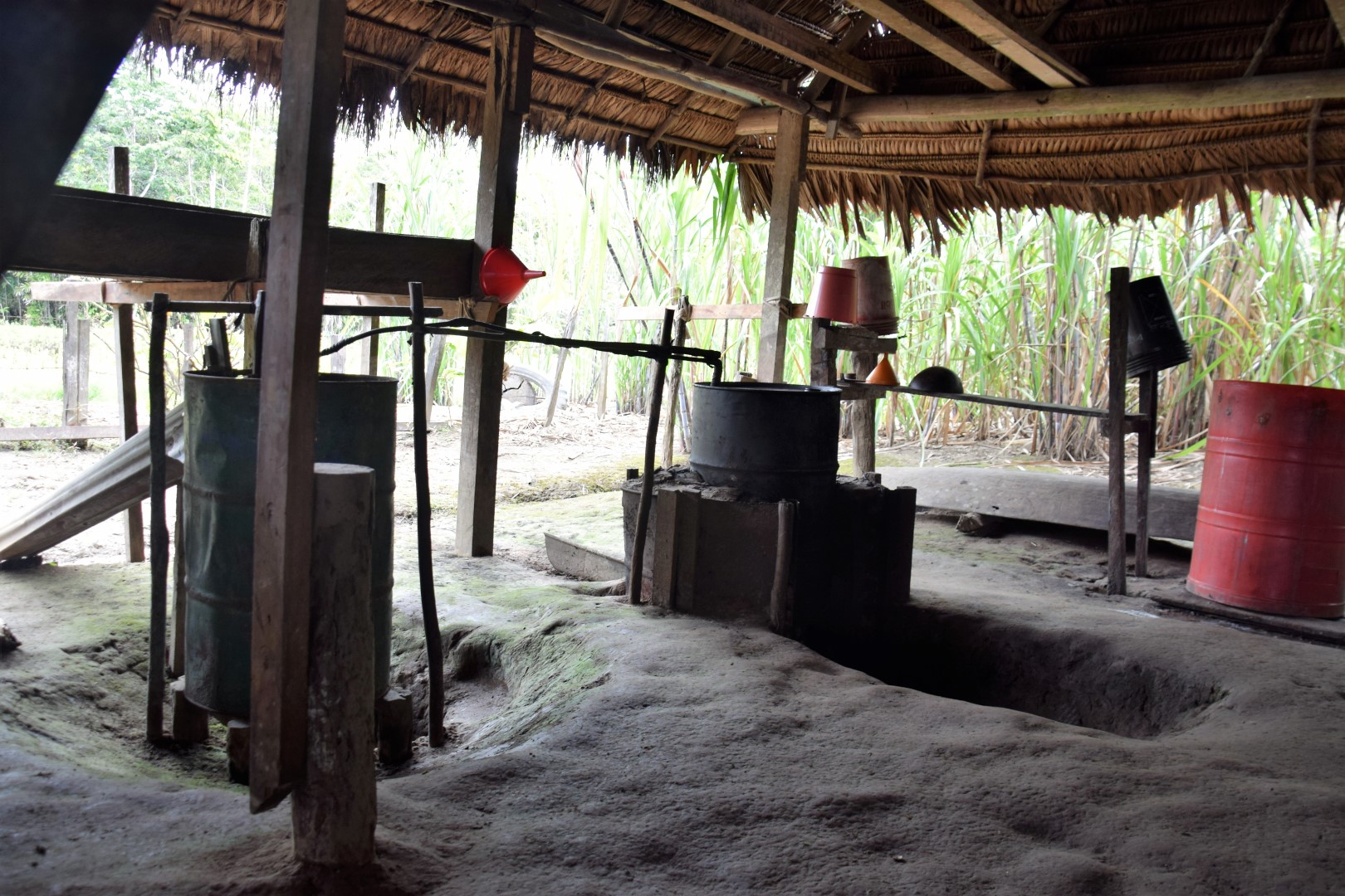 rum distillery in the amazon rainforest