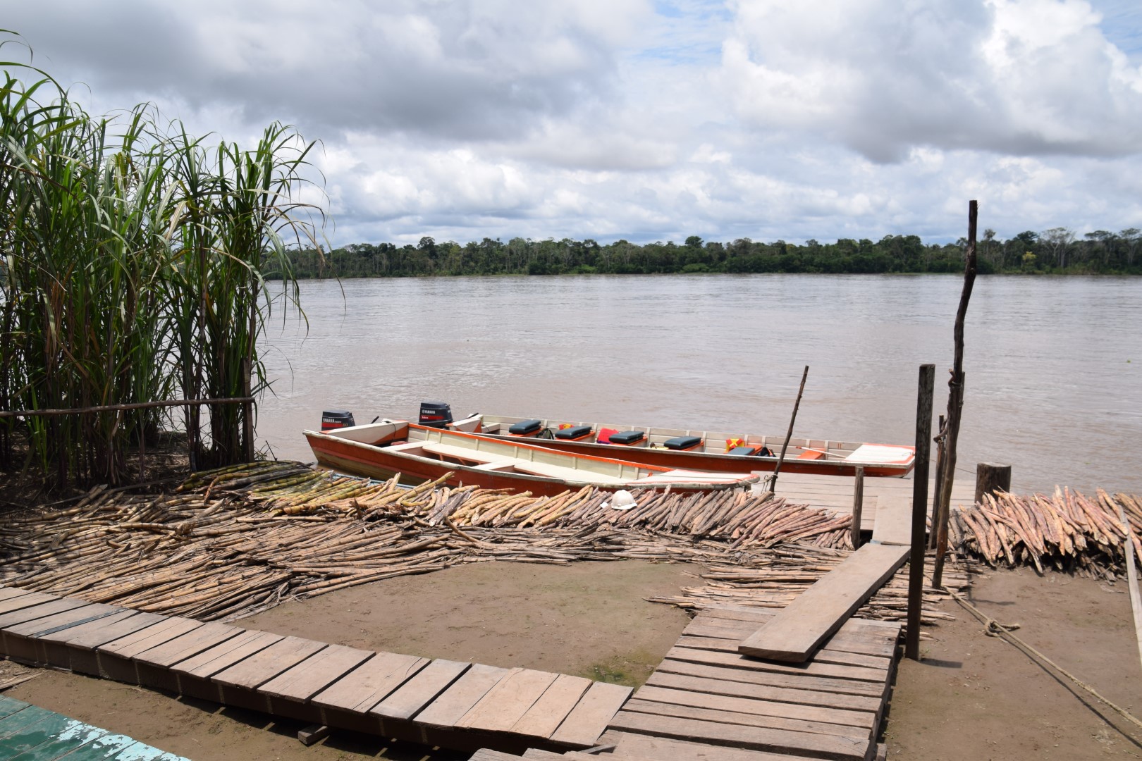 rum distillery in the amazon rainforest