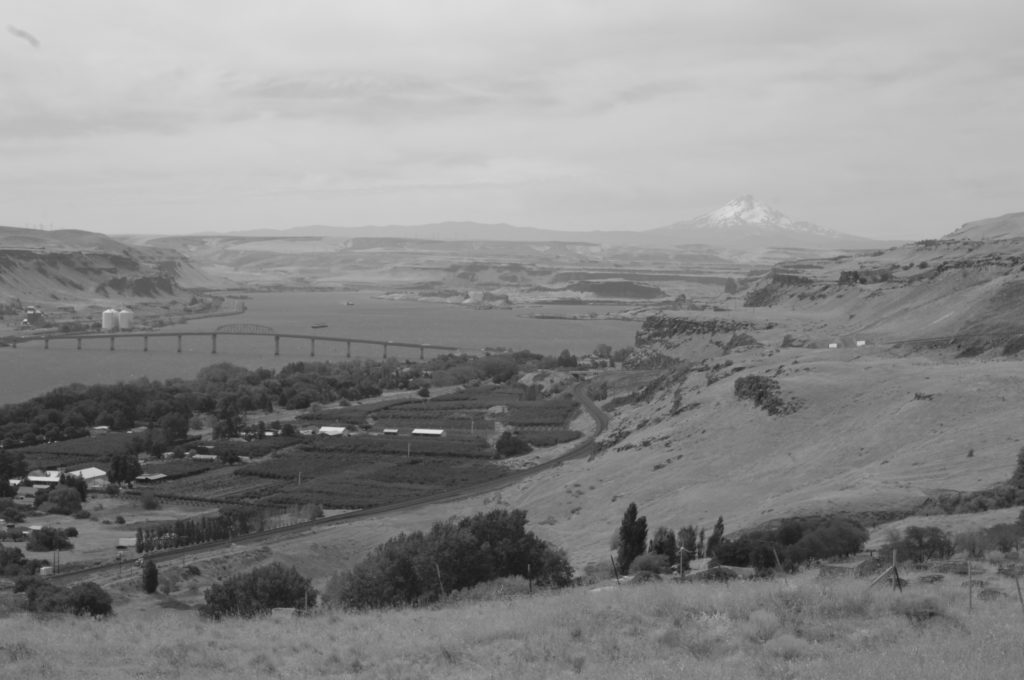 Columbia Gorge Mount hood