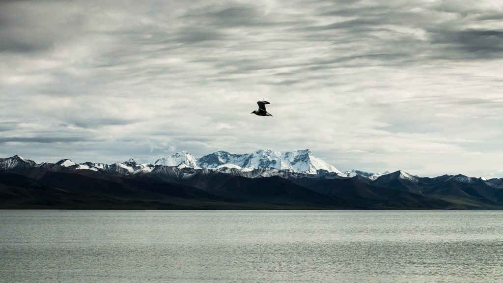 Qinghai Lake