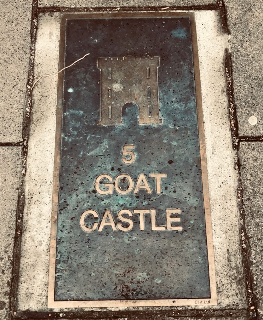 Dalkey Castle Goat Castle