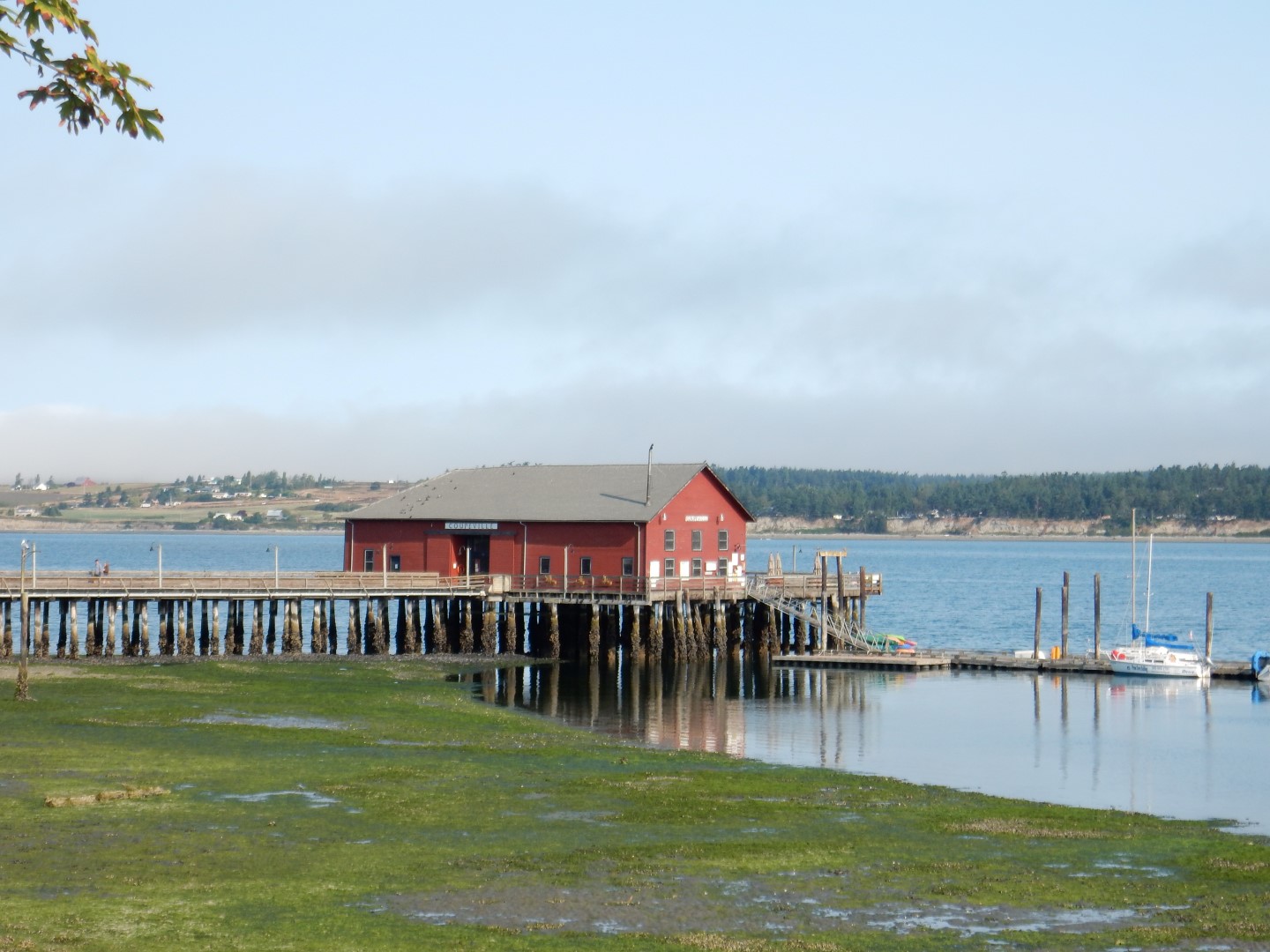 oupeville: The wharf in historic Coupeville on Whidbey Island Nancy Zaffaro