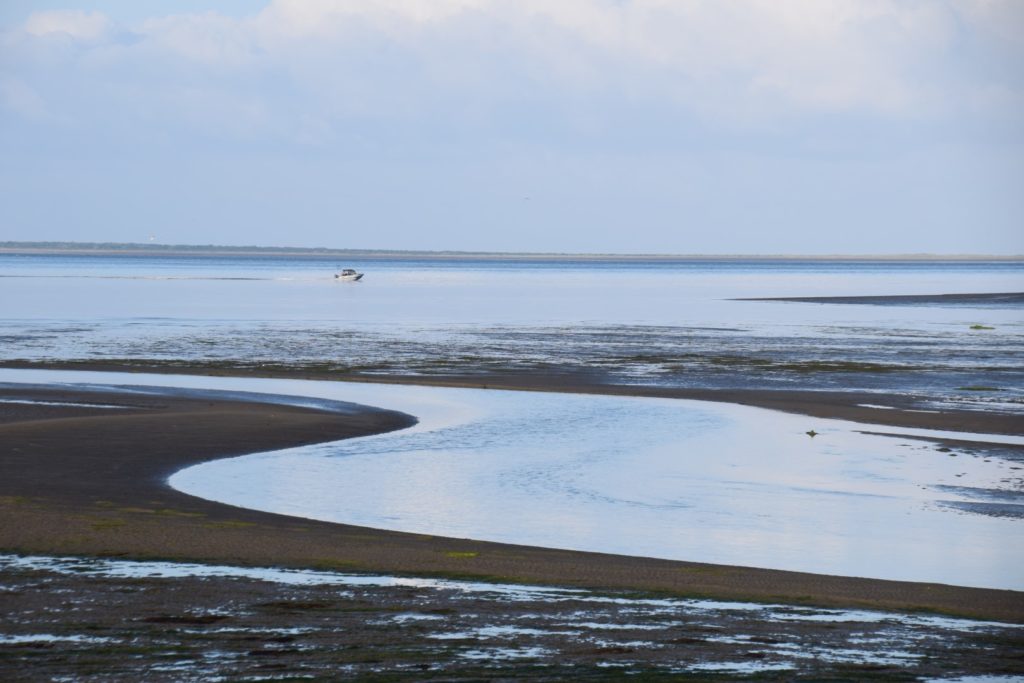 pacfic county beach at north cove raymond tokeland and south bend washington