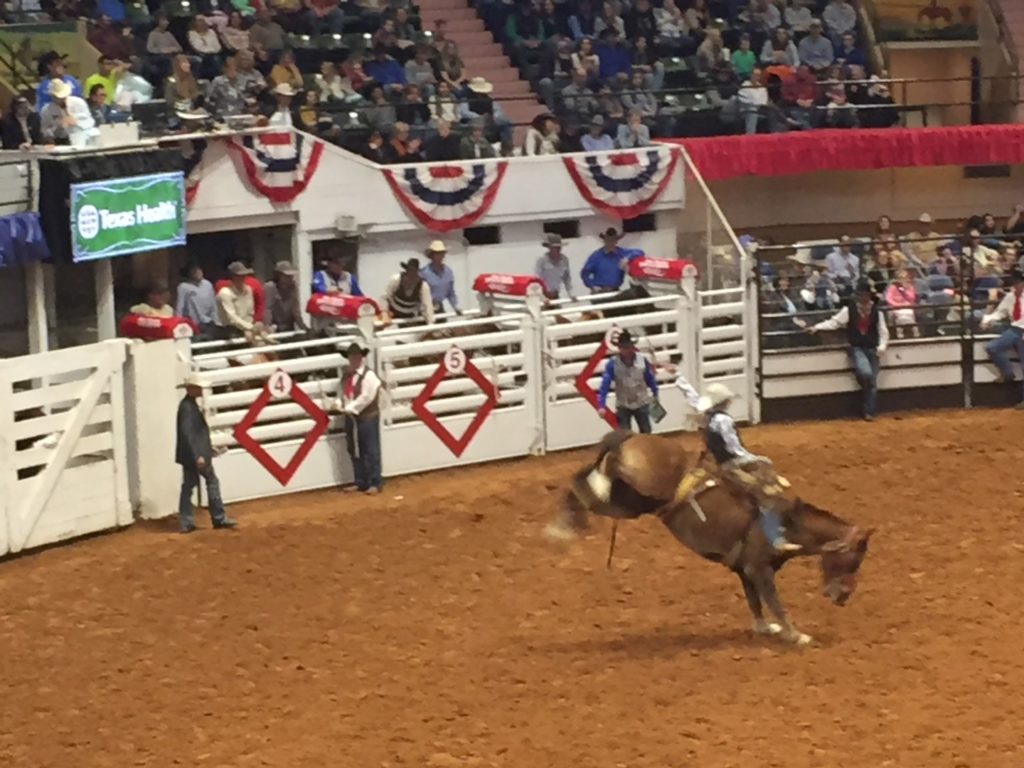 rodeos in Calgary and Fort Worth