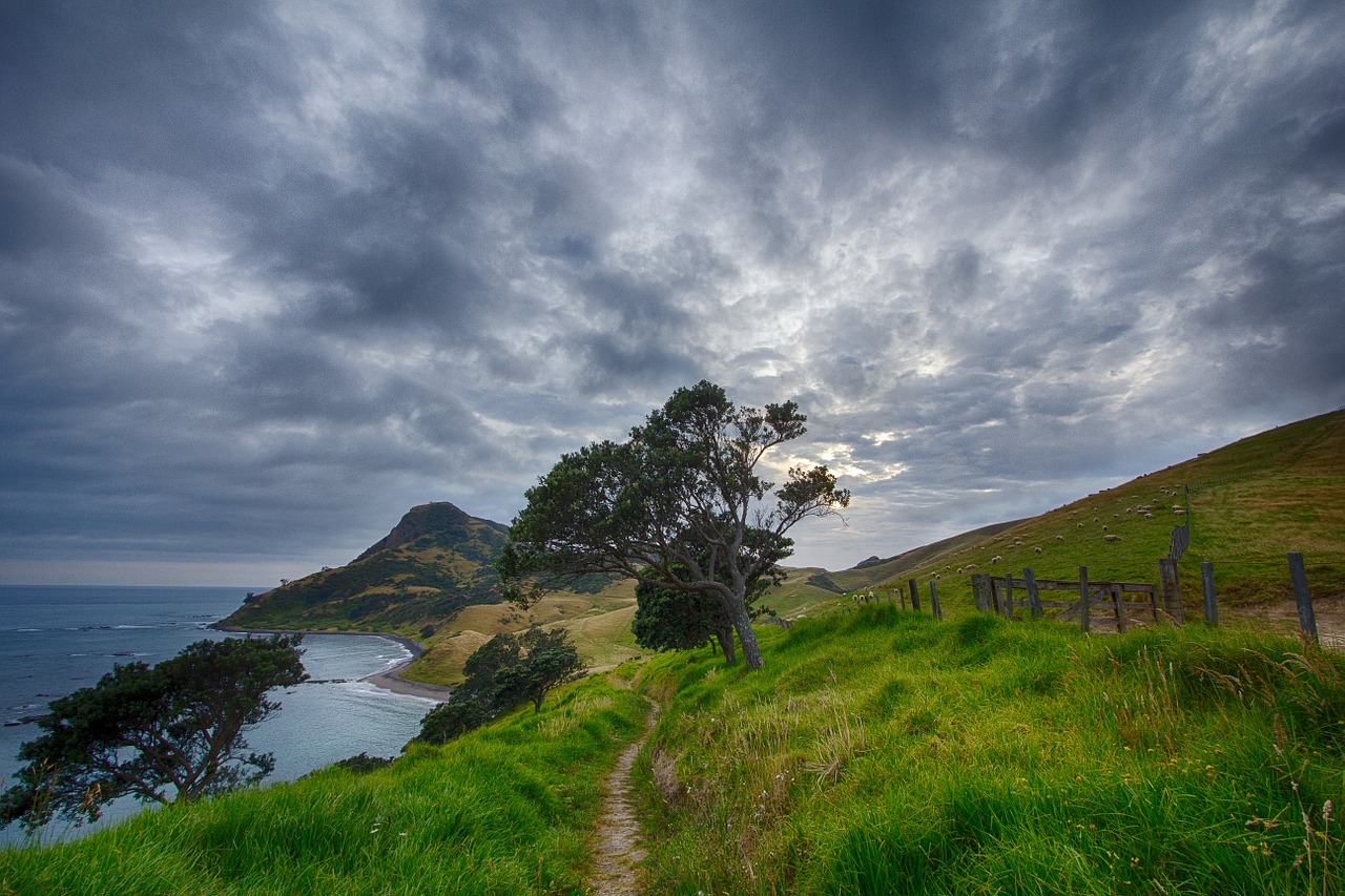 New Zealand path trail