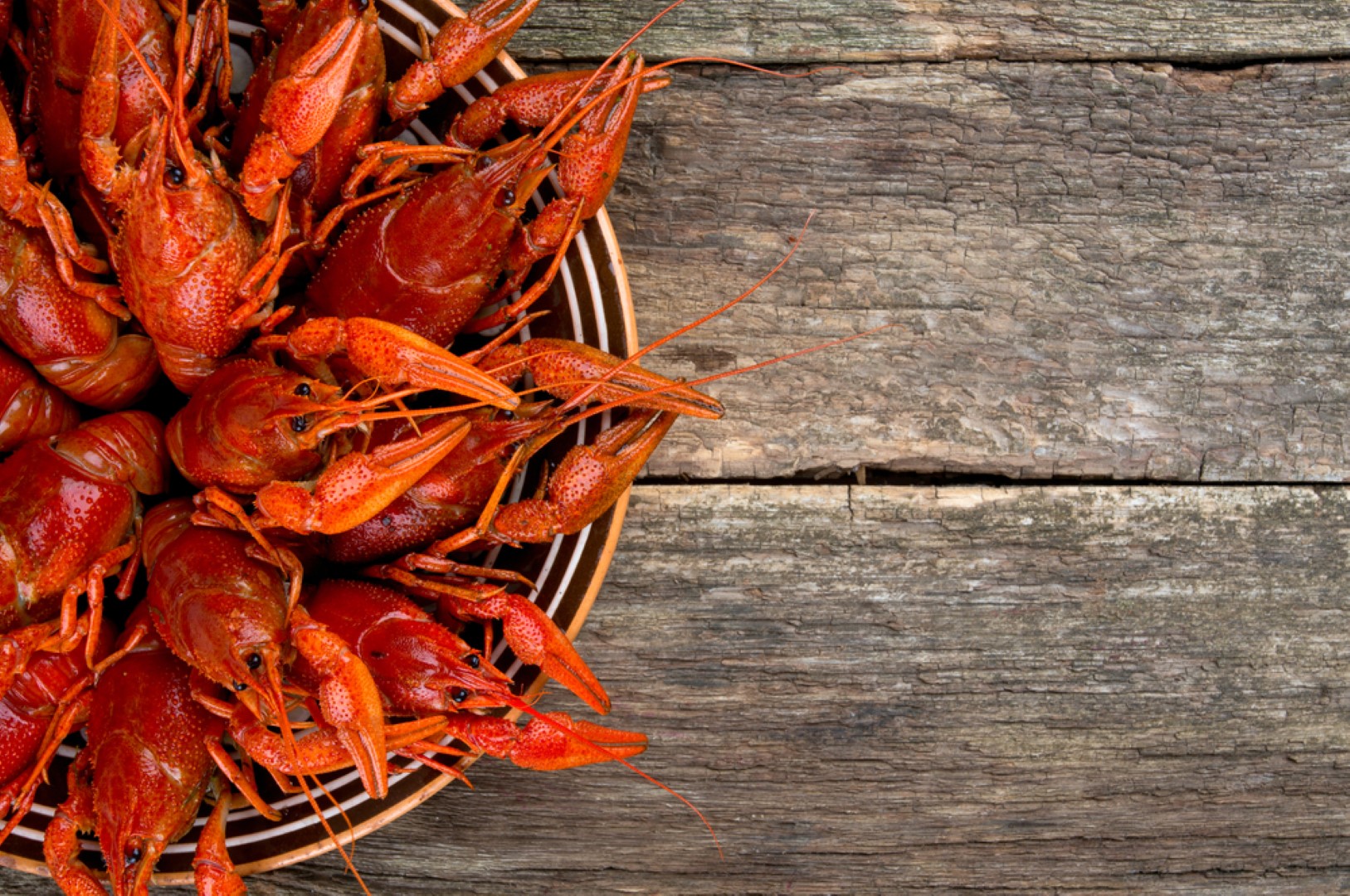 cities for seafood lovers crawfish