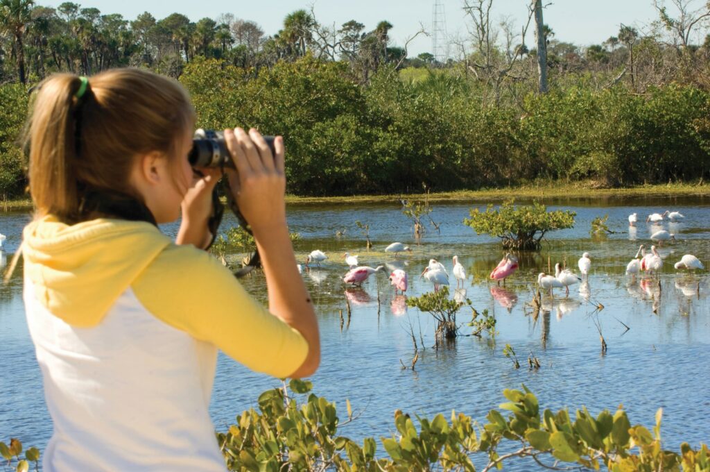 birding Merritt Island Florida's Space COast