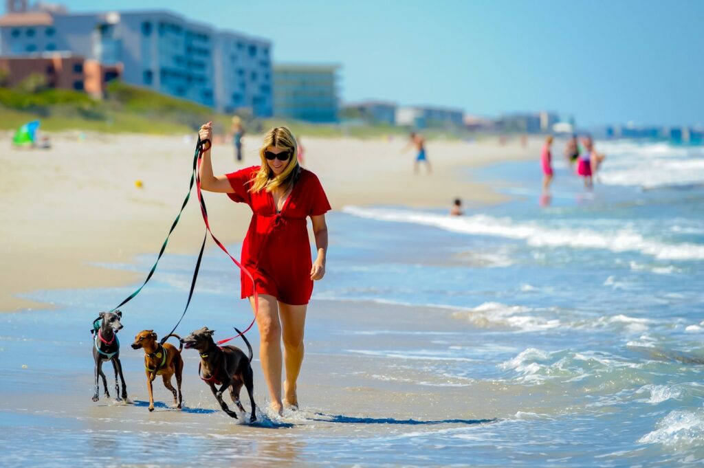 Canover Beach Park dog-friendly florida's space c oast