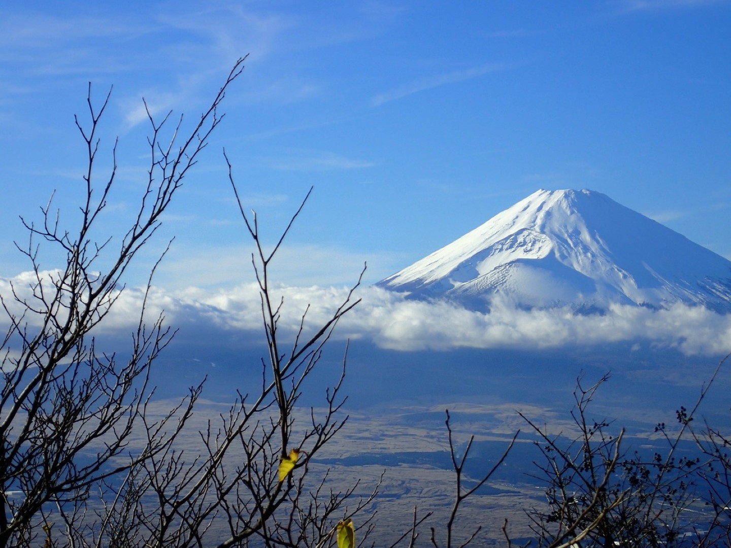 Japan for freelance writers