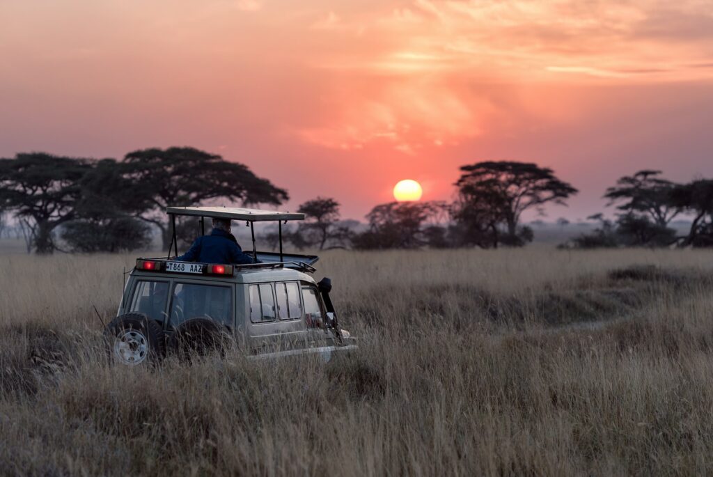 safari travel to tanzania