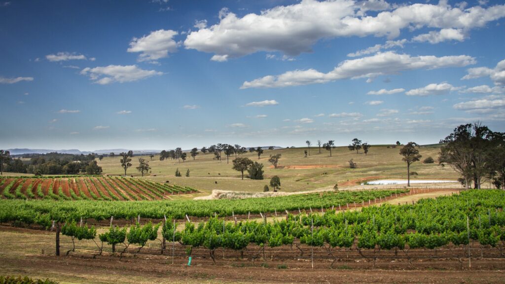 Hunter Valley wine regions